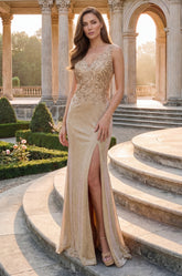 Metallic Long V-Neck Sleeveless Evening Dress